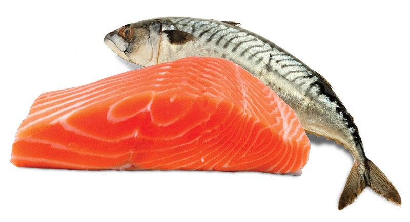 Salmon for dogs